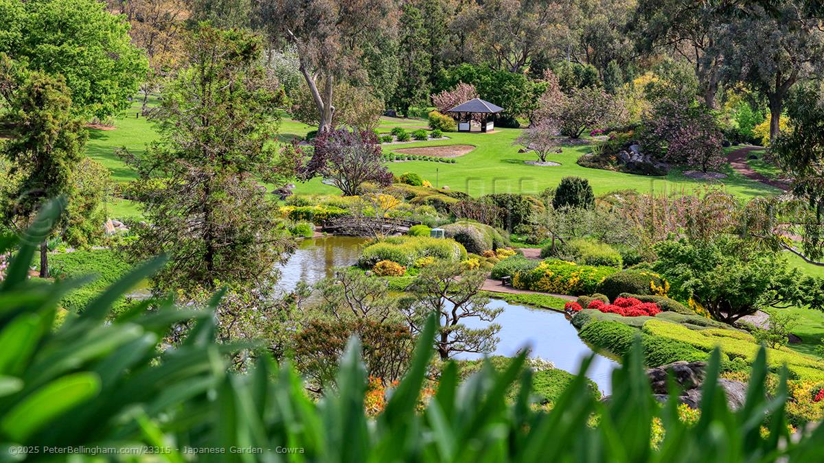 Peter Bellingham Photography Japanese Garden - Cowra